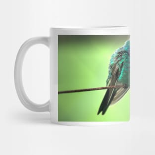 kli hummingbird Mug